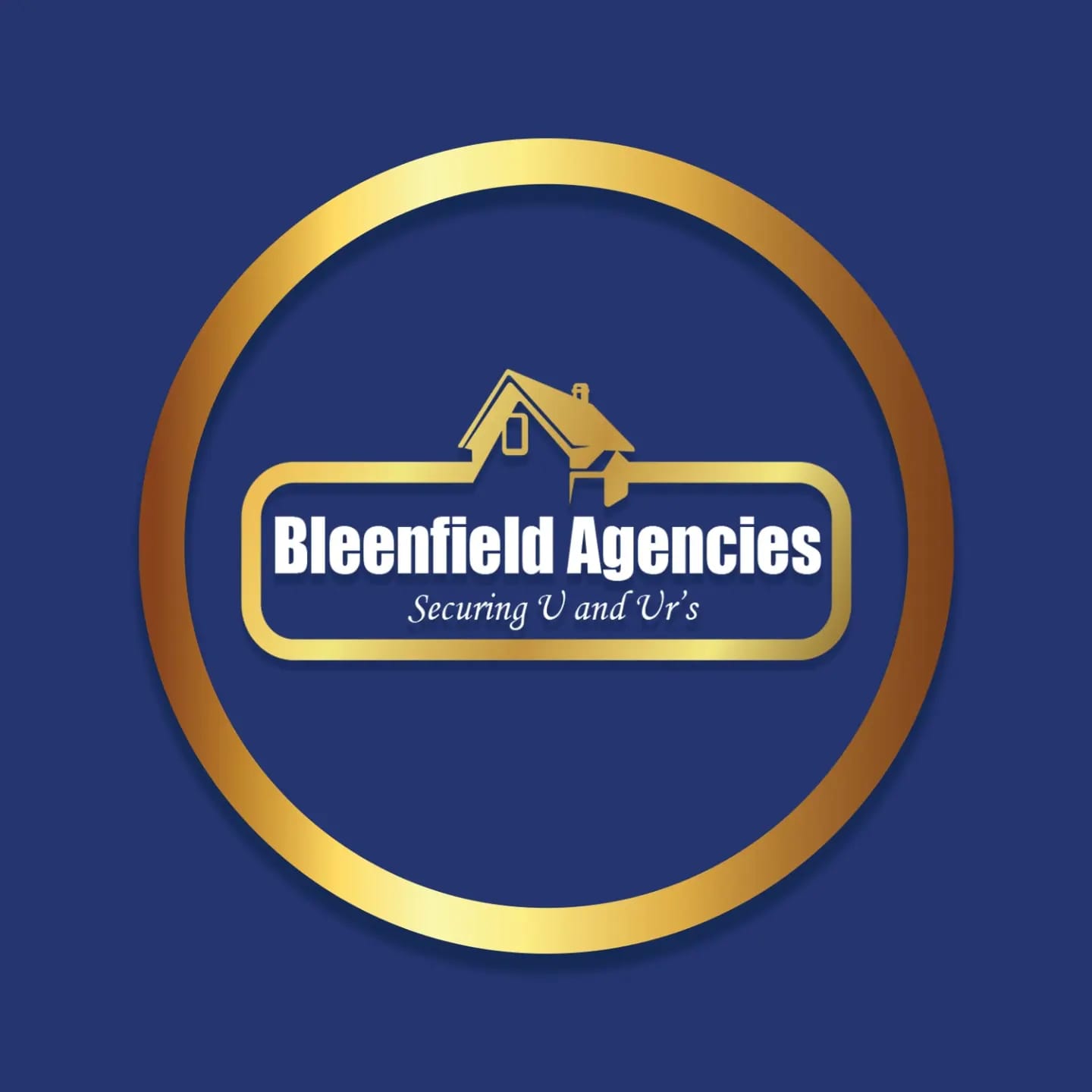 Bleenfield Agencies